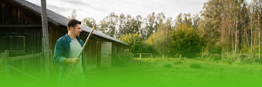 Garden Shed Maintenance: A Seasonal Guide for Northern Ireland Homeowners