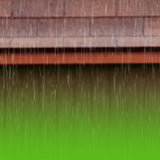 How to Protect Your Garden Shed from Northern Ireland's Wet and Windy Weather