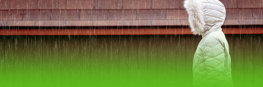 How to Protect Your Garden Shed from Northern Ireland's Wet and Windy Weather